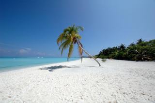 Anse maurice guadeloupe : plage de Guadeloupe