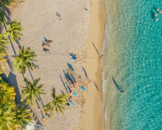 Vidéo guadeloupe vidéo sainte anne 3 : plage de Guadeloupe