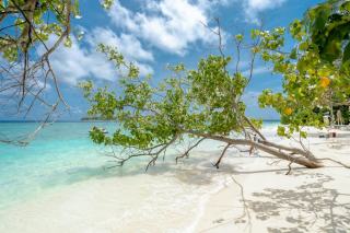 Plage des amandiers en Guadeloupe : eau turquoise et sable fin