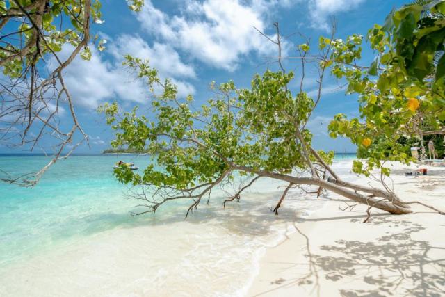 Plage des amandiers : une plage de Guadeloupe à ne pas manquer Plage des amandiers : une plage de Guadeloupe à ne pas manquer