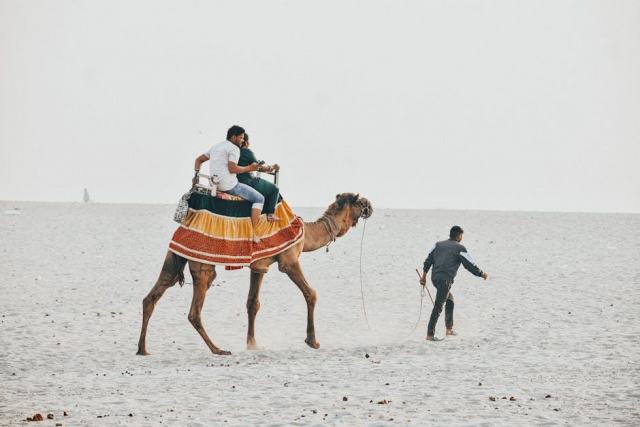 Plage trois rivieres : une plage de Guadeloupe à ne pas manquer Plage trois rivieres : une plage de Guadeloupe à ne pas manquer